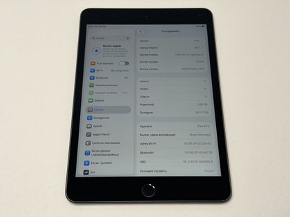 iPad mini 5 (A2124) - 256GB - Cellular (LTE) - faktura VAT 23%