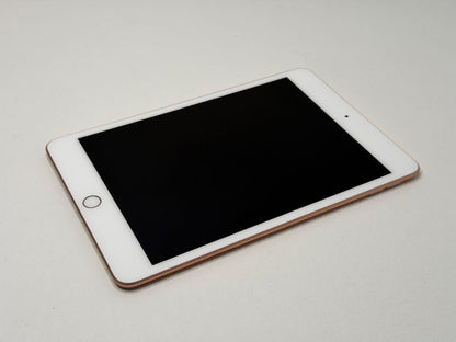 iPad mini 5 (A2124) - 256GB - Cellular (LTE) - faktura VAT 23%