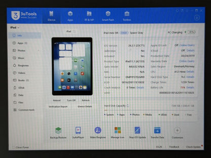 iPad mini 5 (A2133) - 256GB - wada - faktura VAT 23%