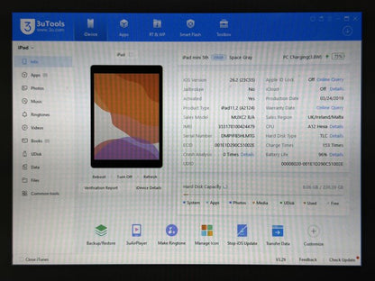iPad mini 5 (A2124) - 256GB - Cellular (LTE) - faktura VAT 23%